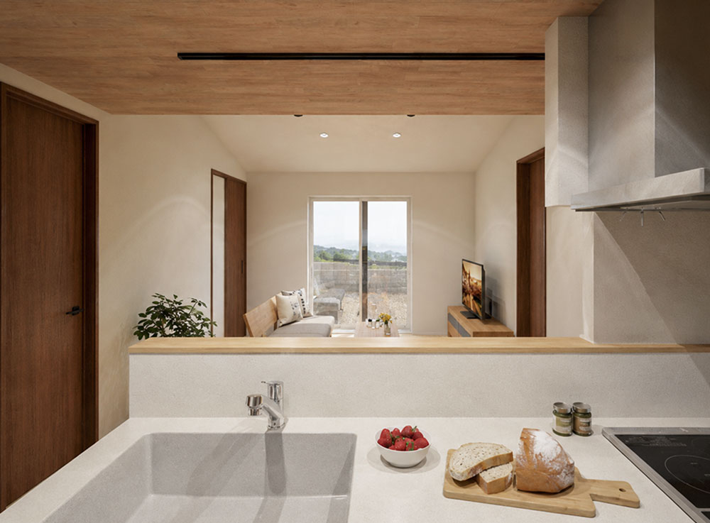 Ahouse_kitchen1